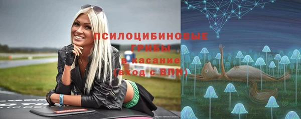не бодяженный Козельск