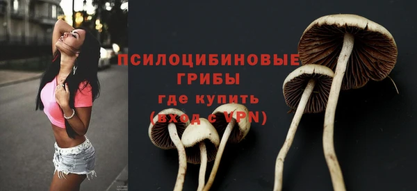 ешки Абинск