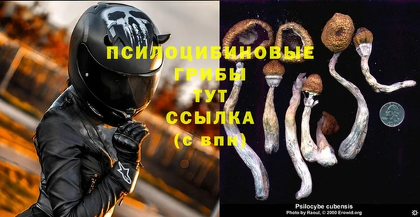 тгк Козловка