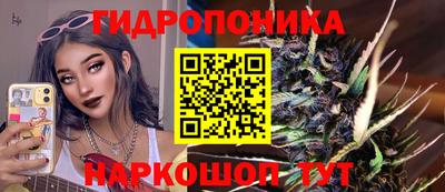 jwh Кандалакша