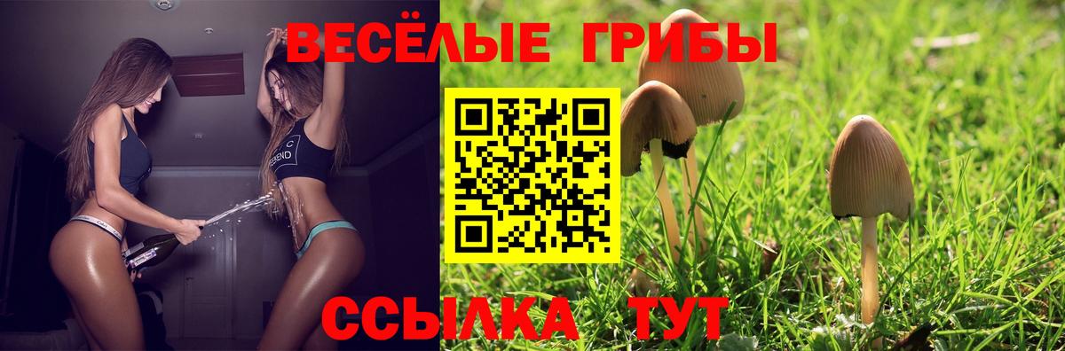 Псилоцибиновые грибы Cubensis  Галлюциногенные грибы мицелий  Рубцовск  Вход с VPN 