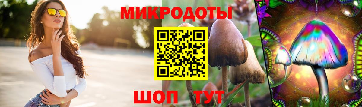 Галлюциногенные грибы MAGIC MUSHROOMS Рубцовск